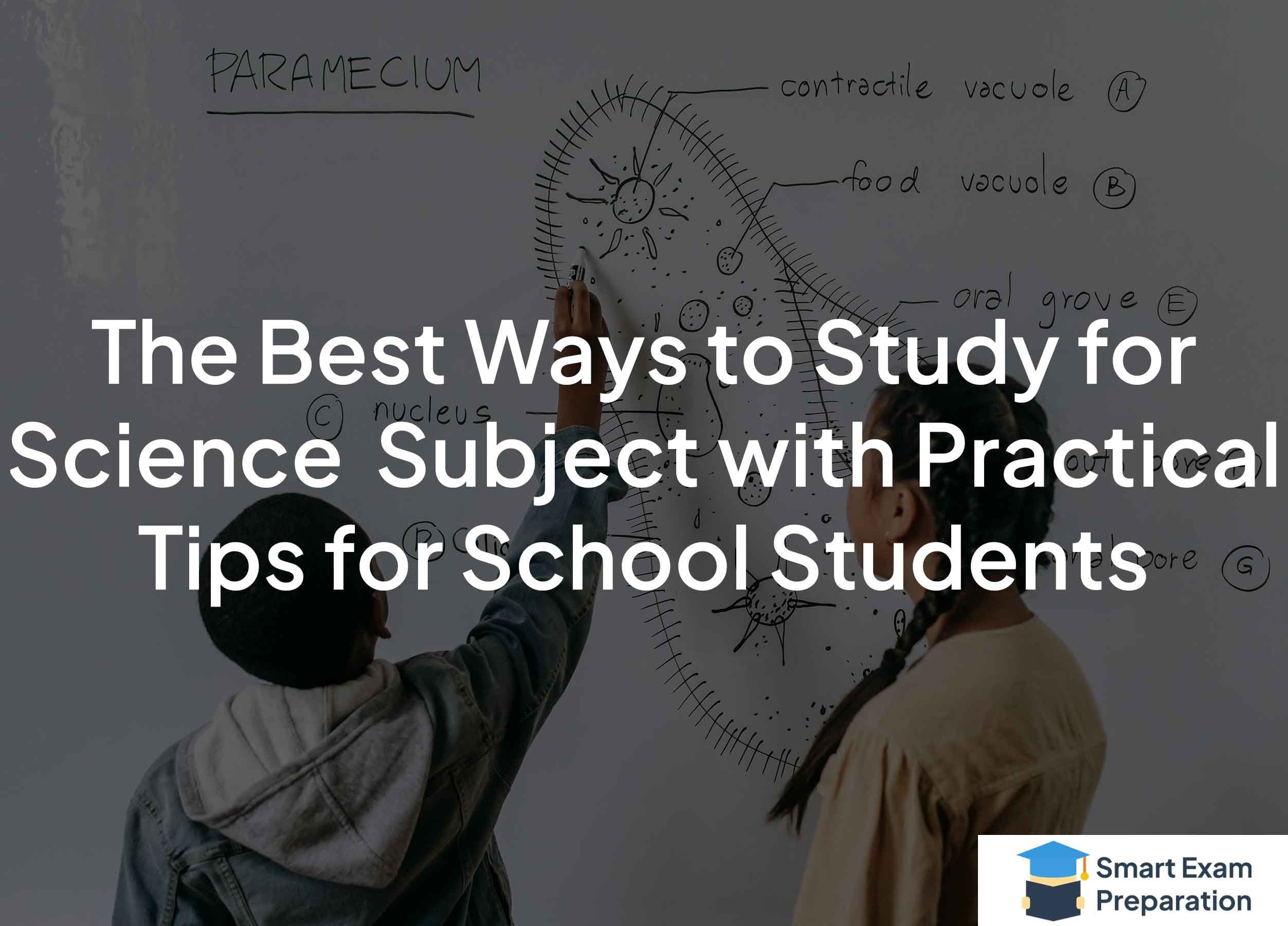 The Best Ways to Study for Science Subject with Practical Tips for School Students